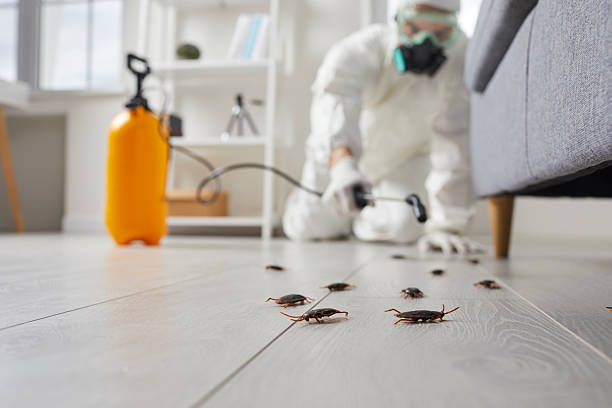 Commercial Kitchen Cockroach Control in Mount Gilead